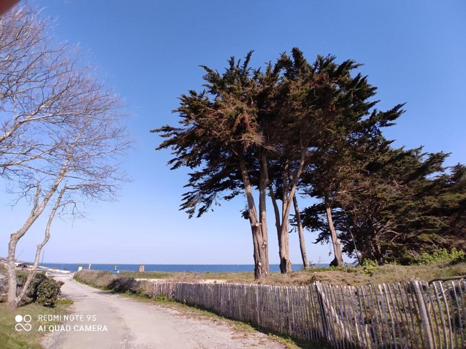 Appartamento Logement En Rdc Port Haliguen Quiberon Esterno foto